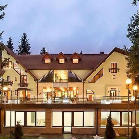 Vila Pinul Si Mesteacanul ポイアナ・ブラショフ エクステリア 写真