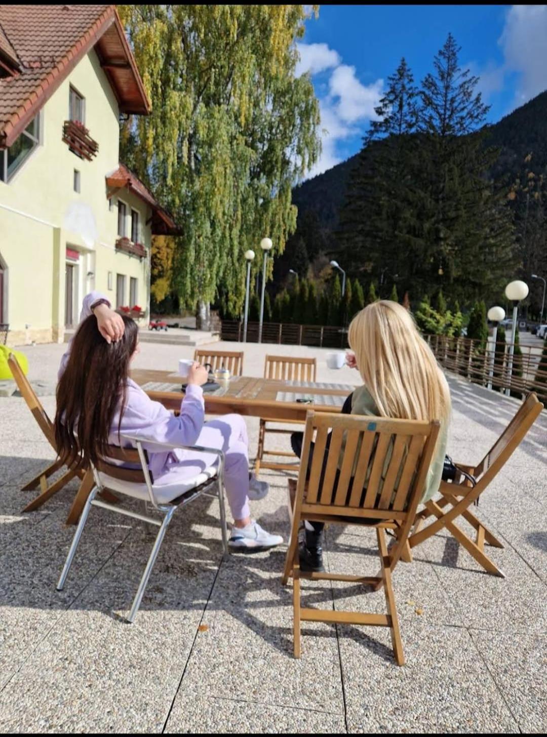 Vila Pinul Si Mesteacanul ポイアナ・ブラショフ エクステリア 写真